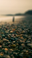 descargar wallpaper de Naturaleza